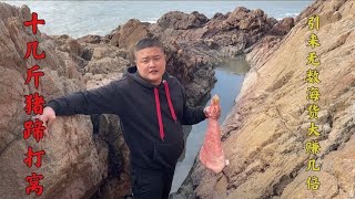 Using 6kg pig's feet as bait, we harvested expensive lobster and huge green spotted fish