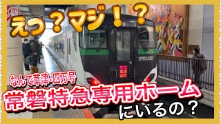 【嘘だろ…‼️】いろいろ乱れて、常磐線特急ホームにE257系5500番台が入線しました…‼️