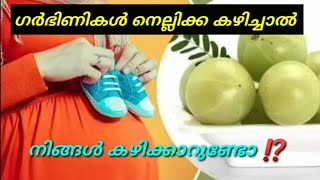 ഗർഭിണികൾ നെല്ലിക്ക കഴിച്ചാൽ ⁉️