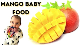 Mango Baby Food Recipe | How To Make Baby Food