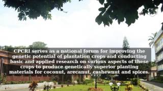 Central Plantation Crops Research Institute (CPCRI)