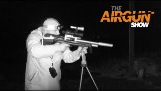 The Airgun Show - A bumper nighttime ratting session