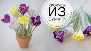 Corrugated paper crocuses / Крокусы из гофрированной бумаги / DIY Tsvoric