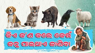 କିଏ କ'ଣ କଲେ କେଉଁ ଜନ୍ମ ପାଇଥାଏ ଜାଣିବା  ||