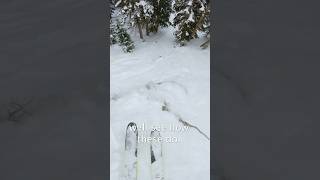 Reviewing an expert ski on the bunny hill Dynastar M Free 108 #skiing