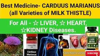 CARDUUS MARIANUS-Miraculus Effect- MILK THISTLE ON #liver #kidney #heart |L-104@dr.kanchansdesk6599