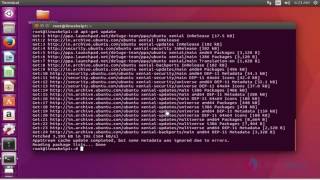 How to install Deluge on Ubuntu 16.04