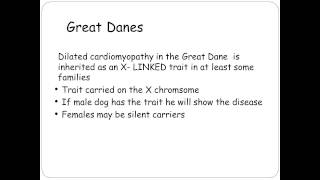 Inherited Cardiomyopathies - Understanding Unique Clinical and Genetics Aspects for Your Breed