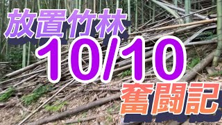 放置竹林奮闘記【サラリーマンが竹を切る日々】2023/10/10  bambooforest deforestation