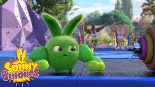 Cartoons For Children | SUNNY BUNNIES - WHO'S STRONGER ? | New Episode | Season 3
