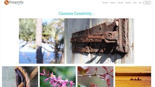 Making Squarespace Images Clickable in a Gallery