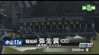 弥生賞２０１８　レース映像　ダノンプレミアム