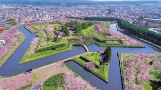 【北海道の春の景色と、幸せを運ぶ優しいメロディー】