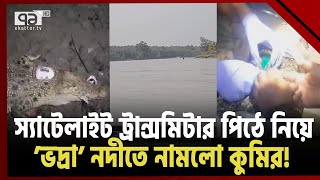 বাংলাদেশে প্রথমবারের মতো কুমিরের পিঠে বসলো স্যাটেলাইট! | News | Ekattor TV