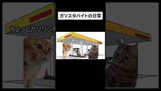 ガソスタバイトの日常【猫ミーム】