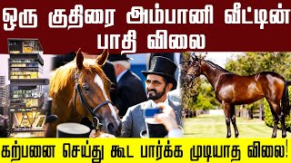 உலகிலேயே விலையுயர்ந்த குதிரை; கற்பனை செய்து கூட பார்க்க முடியாத விலை!