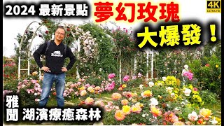 ★2024台南最新景點★雅聞湖濱療癒森林～五彩繽紛玫瑰花大綻放！百萬歐陸玫瑰花園法式玫瑰莊園、脈輪玫瑰花園賞花浪漫春節必去！順遊小南海風景區、北回二館周邊景點行程一次介紹！