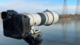 Canon R1 and 600mm F/4