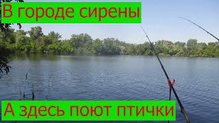 Природа умиротворяет когда все не просто в вашей жизни Запорожье #Запорожье#Рыбалка#Fishing#Карась