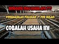 MELIHAT PELUANG USAHA TERNAK