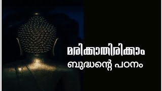 മരിക്കാതിരിക്കാം. ബുദ്ധന്റെ പഠനം.