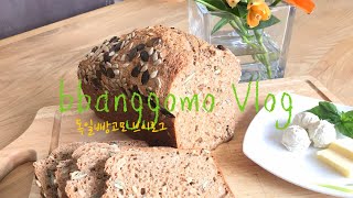 독일통밀빵을 직접 집에서 구울수 있다면../ 독일일상/ Dinkelvollkornbrot/ no knead bread