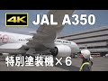 [4K] 6 special livery of JAL Airbus A350 - HND, FUK, CTS / Japan Airlines 日本航空 特別塗装機 羽田空港 福岡空港 新千歳空港