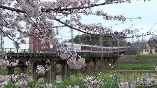 桜の隙間から　最後尾が伊勢志摩お魚図鑑の快速急行上本町ゆき＠大和川橋梁