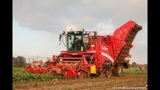 Bieten rooien 2017 met Grimme Maxtron 620 - Loonwerken Goemaere