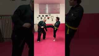 TECNICHE DI REAL AIKIDO NEL COMBAT-JUTSU SHORT WSDA AREZZO MAESTRO 6° DAN LUCIO PICCIOLI