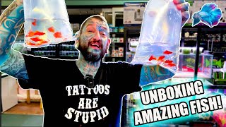 YOU HAVE TO SEE THESE AMAZING FISH! Pauls Aquariums Live Fish Unboxing!