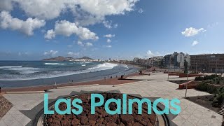 All of Las Palmas at your fingertips