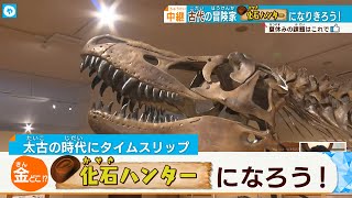 【恐竜】ジュラシック・ワールドを体感？化石ハンターになろう！