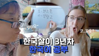 한국살이 3년차 네덜란드 며느리의 한국 시어머니와의 좌충우돌 한국어 공부