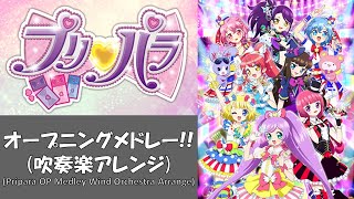 無印プリパラOPメドレー【吹奏楽】【プリパラ】