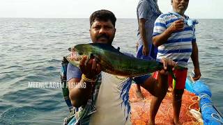 Dolphin fish catching at deep sea