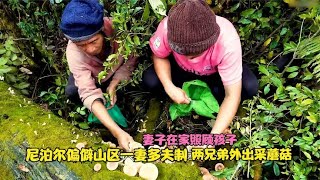 尼泊尔偏僻山区一妻多夫制，两兄弟外出采蘑菇，妻子在家照顾孩子