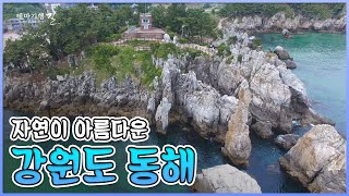 보기만해도 가슴이 뻥 뚫리는 강원도 동해로 떠나는 여행 🌊| 묵호항 추암해변 [테마기행 길]