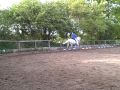 connor dressage