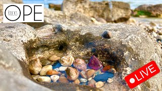 Rockhounding Wisconsin LIVE (ish) on Lake Michigan