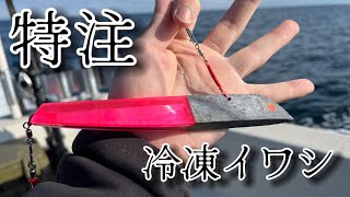 【ヒラメ釣り】特注のオモリと冷凍イワシで釣りしたら…