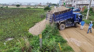 Technique.! Dump Trucks And D58E KOMATSU Dozer filling Flooded land Next to the road.