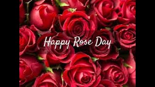 Happy Rose Day WhatsApp Status  |Rose Day Status Video | Best Romantic rose day song| happy rose day