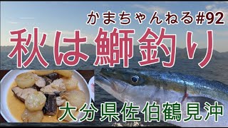 大分県佐伯沖の鰤釣り　かまちゃんねる第９２話