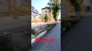 Кучкак кучаси #кучкак #конибодом