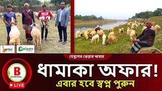 Live! শীতে ধামাকা অফার! হেবুলের খামারের আপডেট। sheep farming in Bangladesh l sheep price