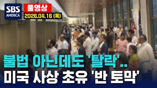 불법 아닌데도 ‘탈락’..미국 사상 초유 ‘반 토막’ - SBS 미국 뉴스  2026년 4월 16일  (목요일)