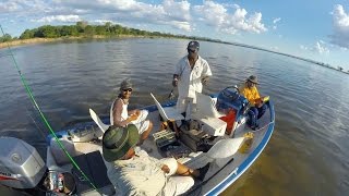 GoPro Chirundu Lower Zambezi- Tiger Fishing (Scuddy's Bachelors) December 2015 HD