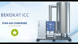 Air comprimé certifié exempt d'huile et de germes convertisseur catalytique BEKOKAT iCC