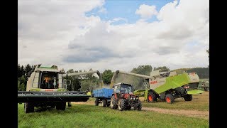 Dvoufázová sklizeň 2017 Claas Lexion 540.. Hodice Třešť